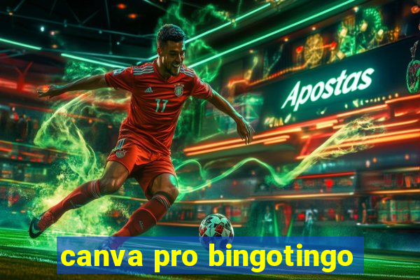 canva pro bingotingo